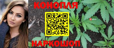 мяу мяу мука Гусиноозёрск