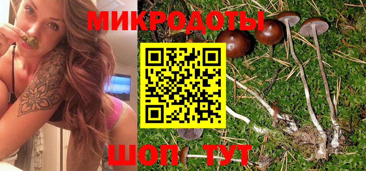 Нурлат  Галлюциногенные грибы GOLDEN TEACHER  Псилоцибиновые грибы ЛСД  Вход с VPN 