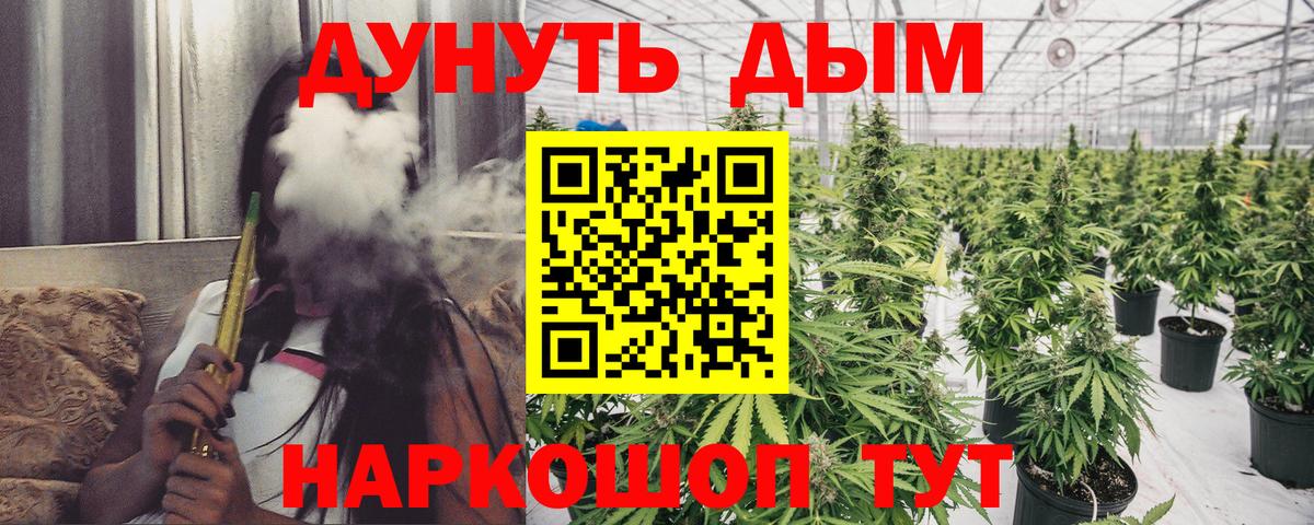 Шишки марихуана тримм  Вход с VPN  Шишки марихуана MAZAR  Нурлат  Каннабис Ganja  МАРИХУАНА тримм 